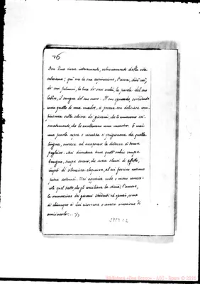 Fotogramma C 2