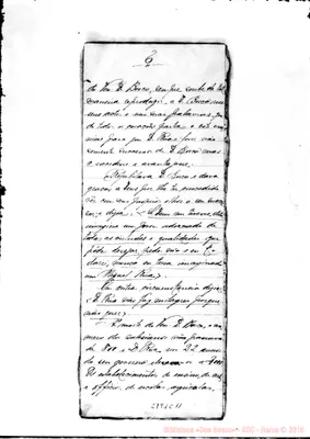 Fotogramma C 11