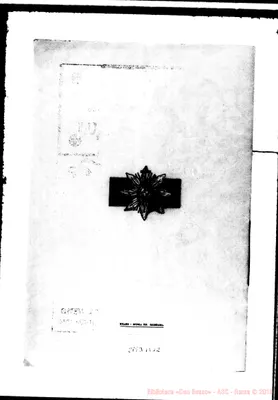 Fotogramma B 12
