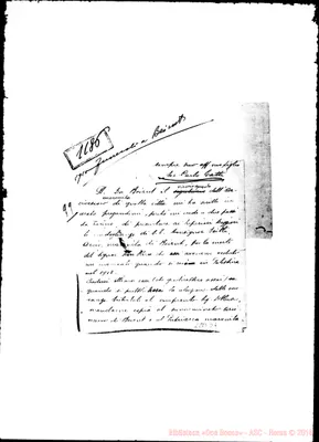 Fotogramma D 7