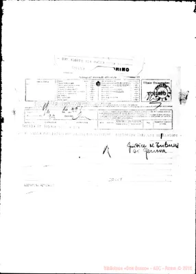 Fotogramma C 7