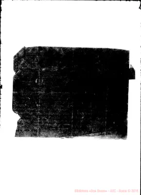 Fotogramma D 11