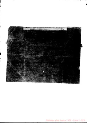Fotogramma D 11