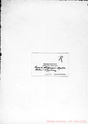 Fotogramma D 11