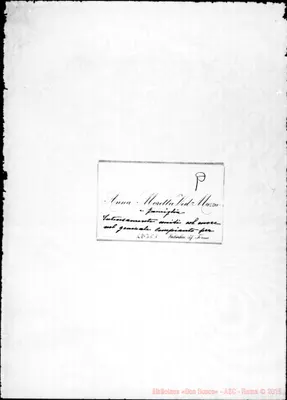 Fotogramma C 1