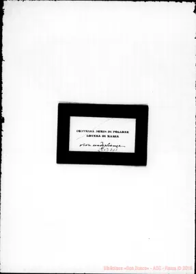 Fotogramma D 11