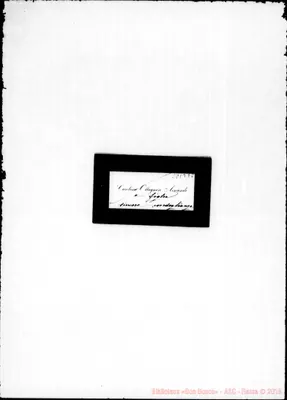 Fotogramma E 8