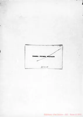 Fotogramma B 8