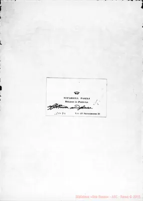 Fotogramma D 6