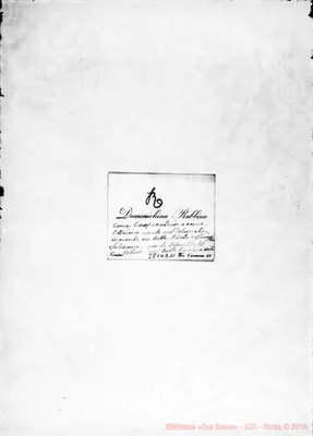 Fotogramma D 11