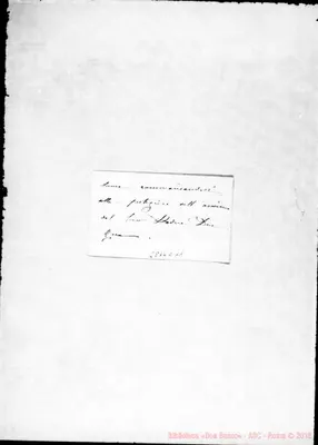 Fotogramma C 11