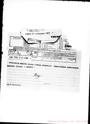 Fotogramma C 3