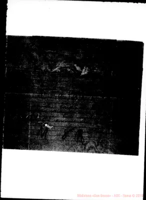 Fotogramma D 10