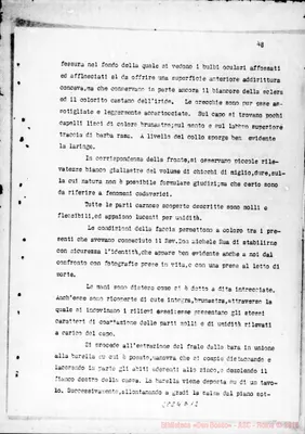 Fotogramma D 12
