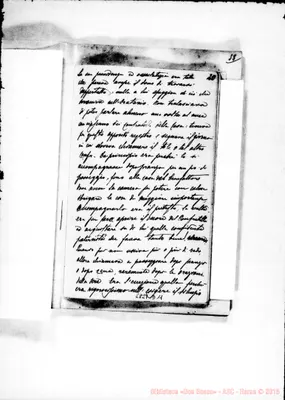 Fotogramma D 11