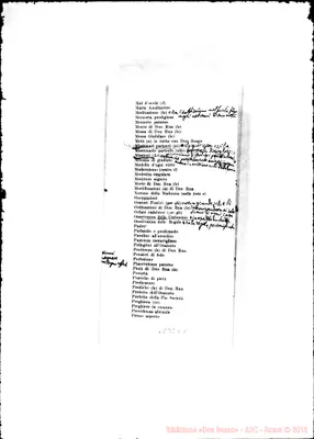 Fotogramma C 1