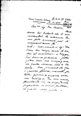 Fotogramma D 11