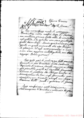 Fotogramma B 2