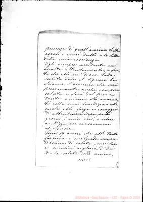 Fotogramma C 5