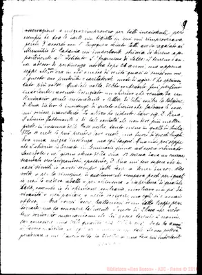 Fotogramma D 11