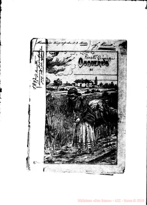 Fotogramma C 11