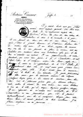 Fotogramma D 1