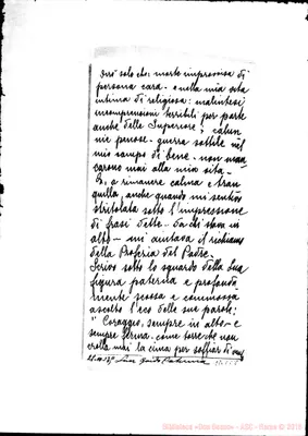 Fotogramma C 8