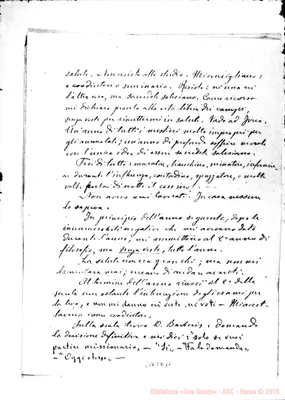Fotogramma D 11
