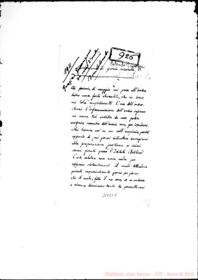 Fotogramma E 5