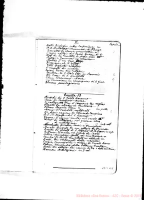 Fotogramma B 5