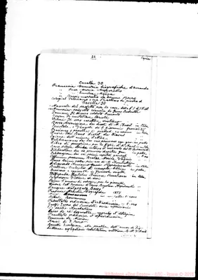 Fotogramma C 6