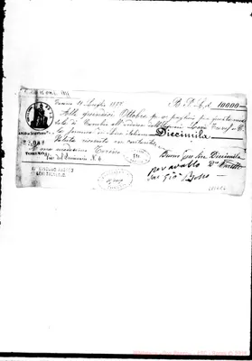 Fotogramma C 6