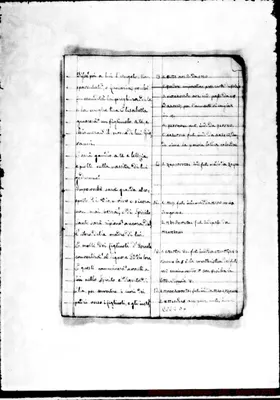 Fotogramma D 6