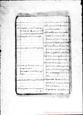 Fotogramma D 11
