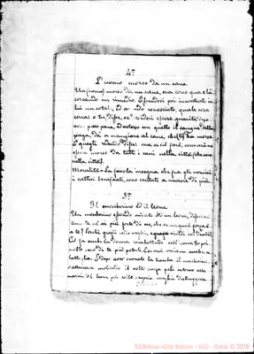 Fotogramma E 6