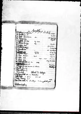 Fotogramma B 5