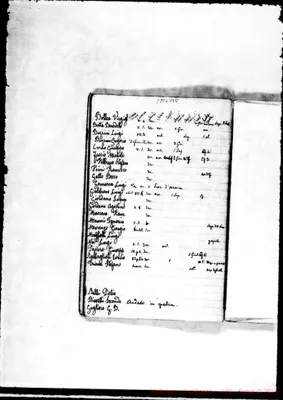 Fotogramma B 8