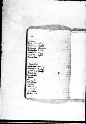 Fotogramma B 12