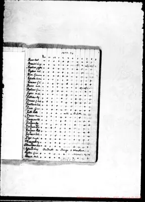 Fotogramma C 11