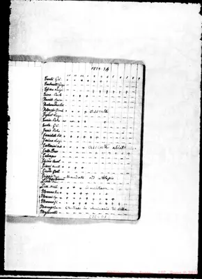 Fotogramma D 1