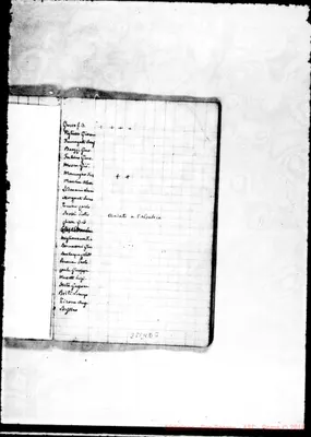 Fotogramma D 3