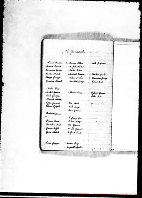 Fotogramma D 8