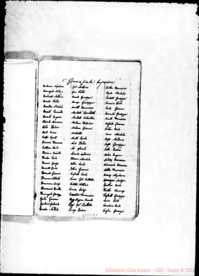 Fotogramma E 1