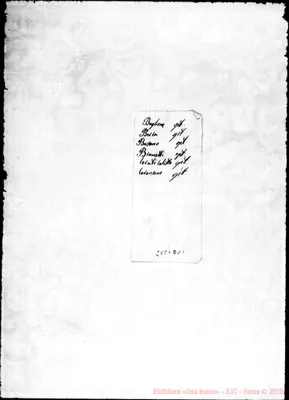 Fotogramma D 11