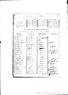 Fotogramma D 11