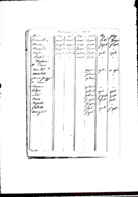 Fotogramma E 1