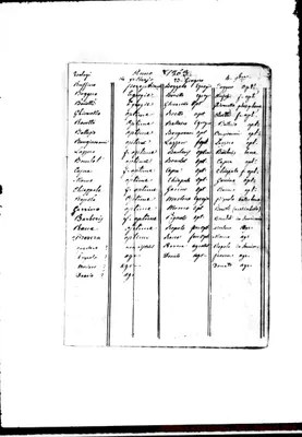 Fotogramma E 2