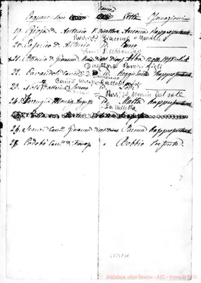Fotogramma C 11