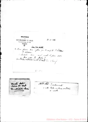 Fotogramma E 2