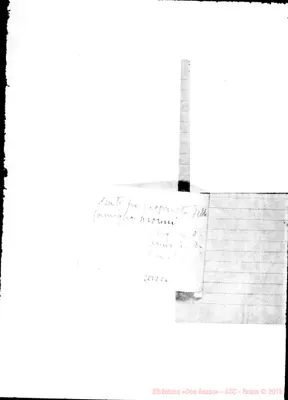 Fotogramma C 6